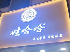 门面-娃哈哈·奶茶(武林店)