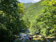 -栾川竹海野生动物园
