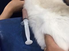 -心语宠物医院·急重症转诊中心·瑞辰华诺(南青路店)