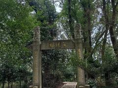 -上海佘山国家森林公园天马山园