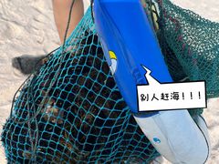 -花海间·即刻露营