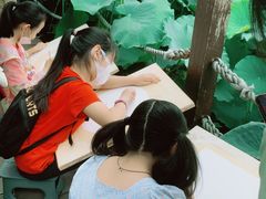 -学知乐教育·幼小衔接·小学科辅导(嘉定镇校区)