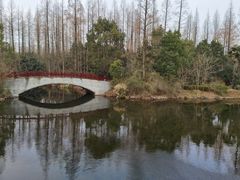 -东平国家森林公园