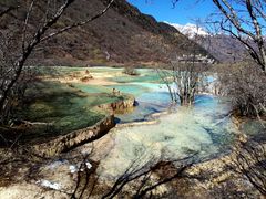 -黄龙山原始森林景区