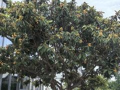 -宝岩生态观光园