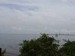 -万绿园
