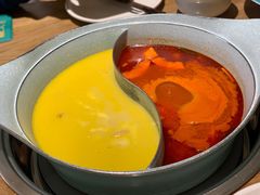 -青瓷火锅料理(西单大悦城店)