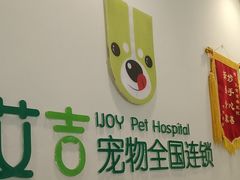 -艾吉宠物医院·疑难杂症转诊中心·猫友好(碧江路院)