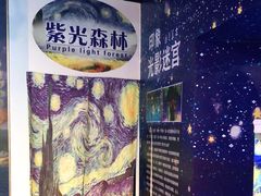 -天津梵高星空艺术馆(天河城旗舰店)