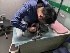 -半岛宠物医院24小时(科华中路店)