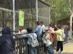 -长白岛森林公园