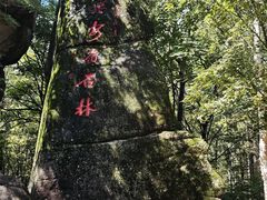 -汤旺河林海奇石景区