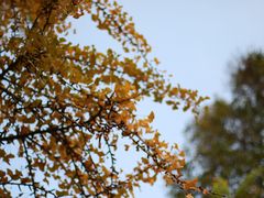 -房湖公园