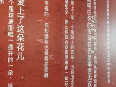 -爱情邮局