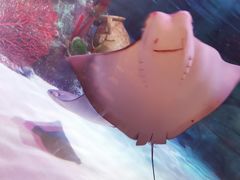 -沈阳海洋探索中心