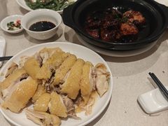 白切本鸡-群乐饭店(滨安路店)