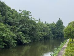 -鲁镇
