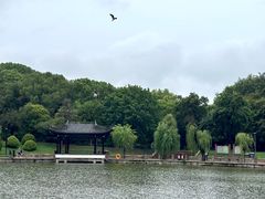 -常熟方塔园