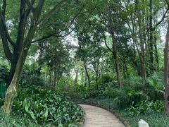 -成都市活水公园