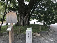 -京都御所