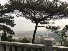 -仙岳公园