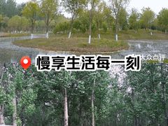 -东郊湿地公园
