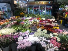 -双季花艺园艺市场(浦东店)