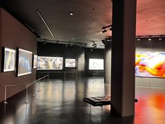 -罗红摄影艺术馆