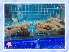 -阿湾楼·温州海鲜·江浙菜(京江路店)
