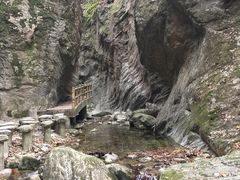 -牛背梁国家森林公园