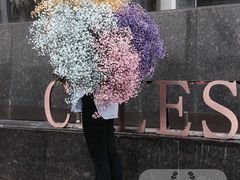 -花木兰花艺MULAN(温馨花园店)