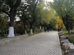 -沈阳中山公园