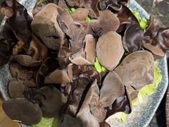 -重庆九记老火锅(广场店)