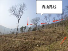 -午潮山国家森林公园