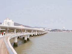 -演武大桥观景平台