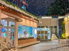 -紫荆广场·花漫里