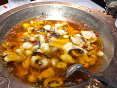 蜀龙阁水煮鱼-雲蜀龙阁·金牌水煮鱼(方庄店)