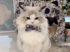 -霸王茶姬(大学城熙街店)