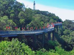 -金鸡山公园