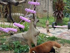 -灵玲国际马戏城