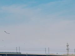 -丁香湖公园
