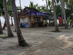 -东郊椰林