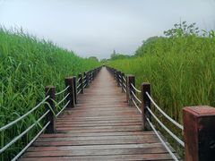 -苏州太湖湖滨国家湿地公园