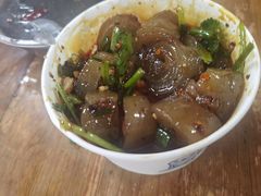 -爪爪西施