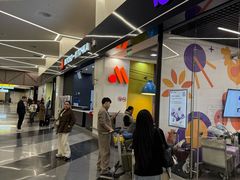 -谢列梅捷沃国际机场