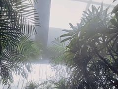 -三江森林温泉度假区