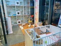 -萌兽医馆·眼科·异宠专科(三里屯店)