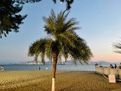 -鼓浪屿内厝澳码头(轮渡站)