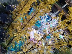 -Dough&Joe团憩(瑞虹天地月亮湾店)