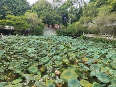 -国恩寺